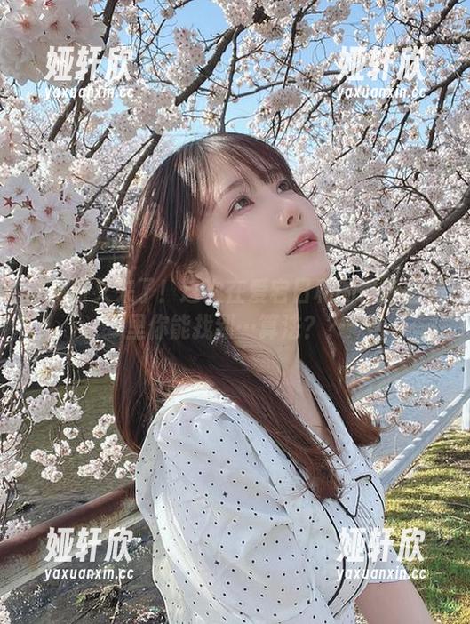 けん研又来了！这次在爱宕日和的最新图册里你能找到…算法？？