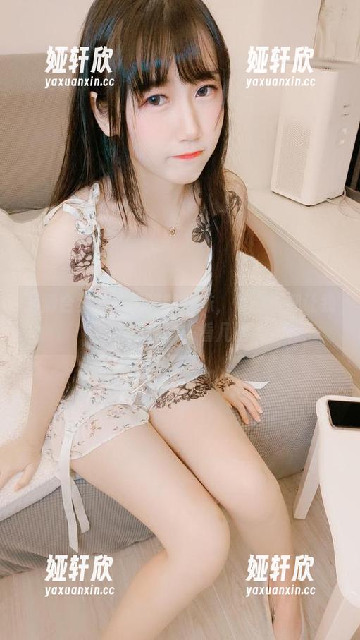 高清合集，不呆猫的妹妹，每一张都让我忍不住想多看几眼